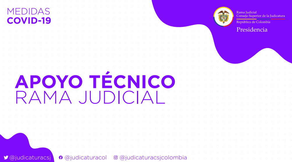 apoyo técnico rama judicial