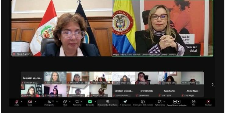 Colombia asume importante vicepresidencia en la Red Interamericana de Enlaces de Género de los Poderes Judiciales